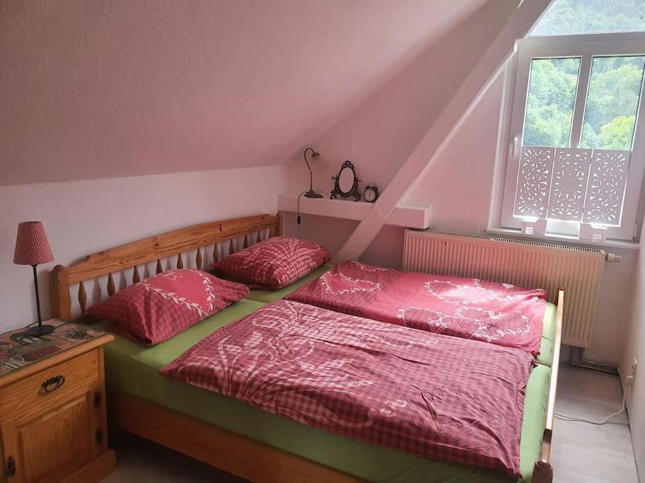 Kirchblick Apartment Konigstein an der Elbe Ngoại thất bức ảnh